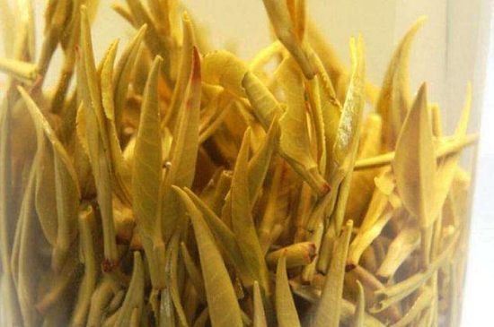 黃茶不適合哪些人喝，黃茶的功效與作用禁忌