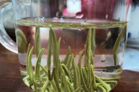 踏雪蘭妃是什么茶，踏雪蘭妃是哪里的茶葉?