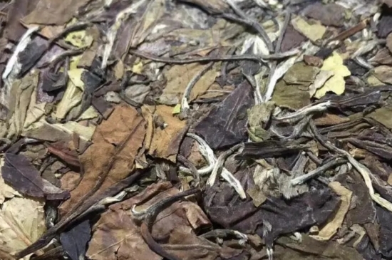 老白茶上火還是去火？夏季喝煮的老白茶會(huì)容易上火！