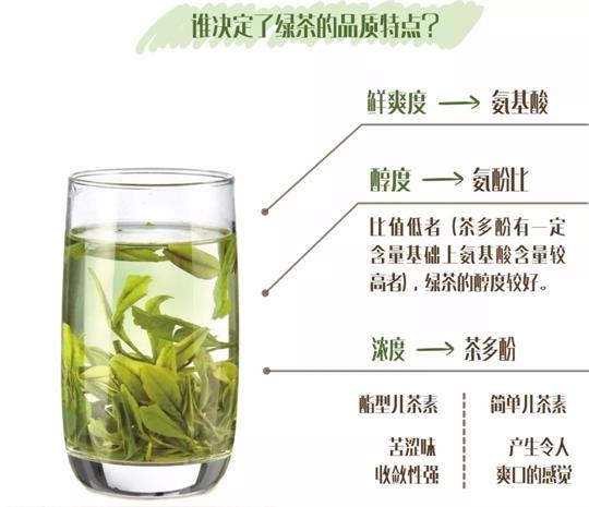 什么綠茶口味重口感濃郁，口味比較重的綠茶都有那些？