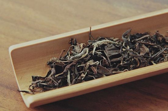 怎么撬老白茶茶餅不容易碎，福鼎白茶如何撬茶方法