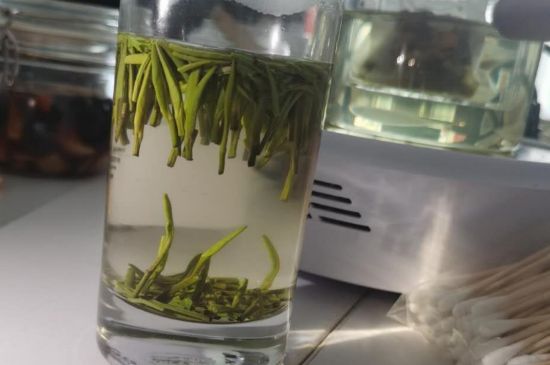 金壇雀舌算不算好茶，金壇雀舌屬于什么檔次茶葉？