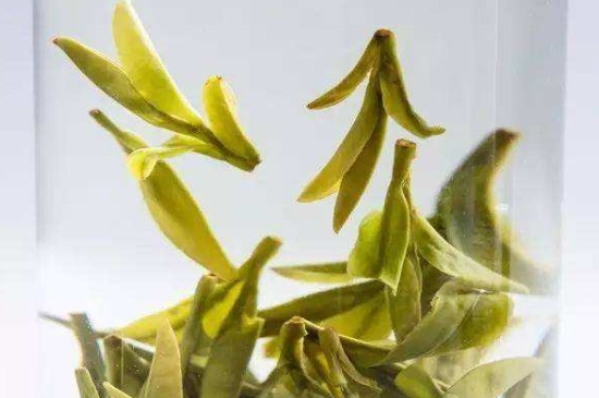 烏牛早和龍井的區(qū)別圖片，龍井43號(hào)和烏牛早茶的對(duì)比