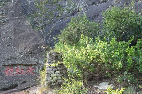 母樹大紅袍給誰喝了，為什么母樹大紅袍叫三棵六株？