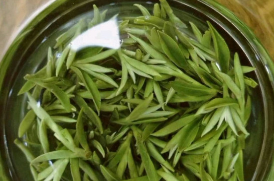 什么綠茶茶葉唇齒留香，哪個品種綠茶香氣好？