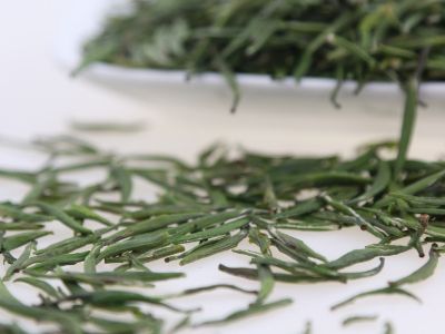 霍山黃芽算是好茶嗎，霍山黃芽屬于什么茶？