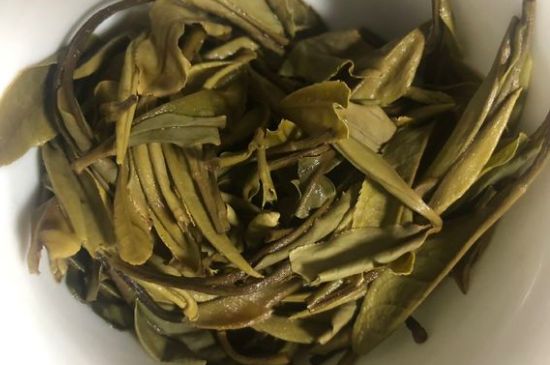 三年白茶賽砒霜，這是真的嗎？