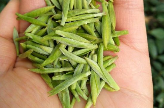 什么綠茶味道濃香，那個綠茶比較濃香？