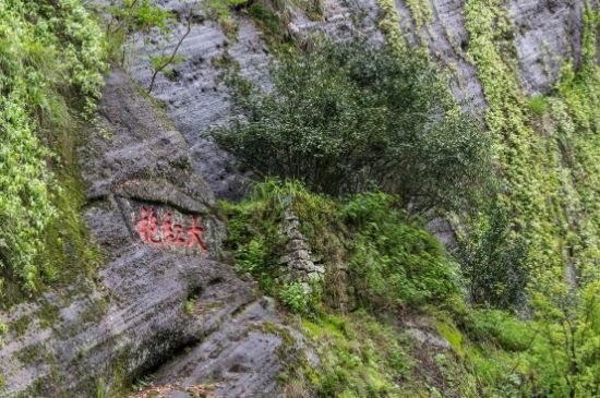 大紅袍為什么沒保質(zhì)期，武夷巖茶大紅袍能放幾年？