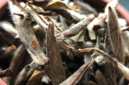 白毫銀針年份越久越好嗎，銀針白毫是否越陳越好