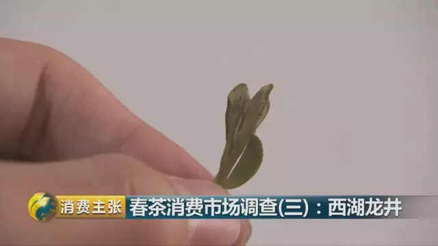 龍井群體種和43號(hào)的區(qū)別圖片，龍井43和群體種哪個(gè)好喝？