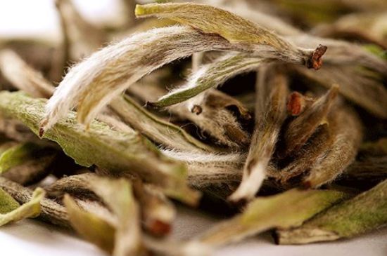 荒野銀針有什么特點(diǎn)，荒野銀針的味道口感咋樣？