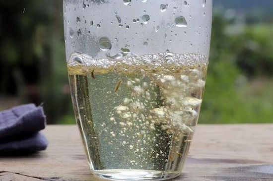 三年白茶賽砒霜，這是真的嗎？