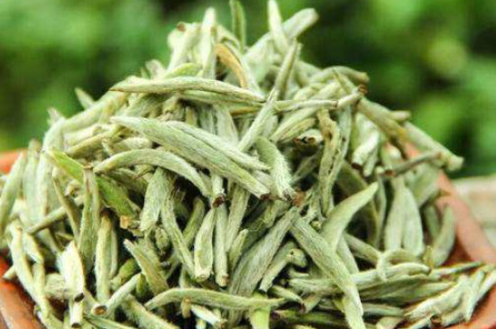 白毫銀針年份越久越好嗎，銀針白毫是否越陳越好