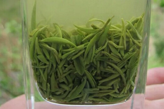 什么綠茶茶葉唇齒留香，哪個品種綠茶香氣好？