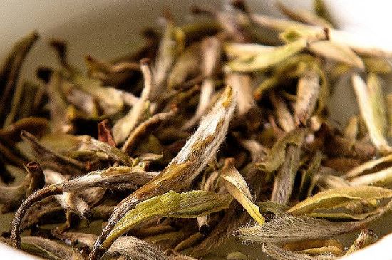 荒野銀針市場價(jià)多少，真正的荒野白毫銀針多少錢？