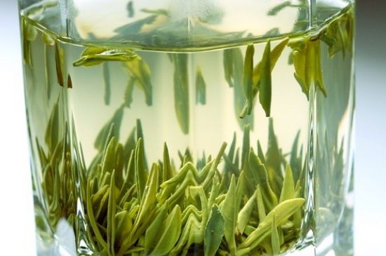 竹葉青和雀舌哪個貴，竹葉青茶貴嗎？