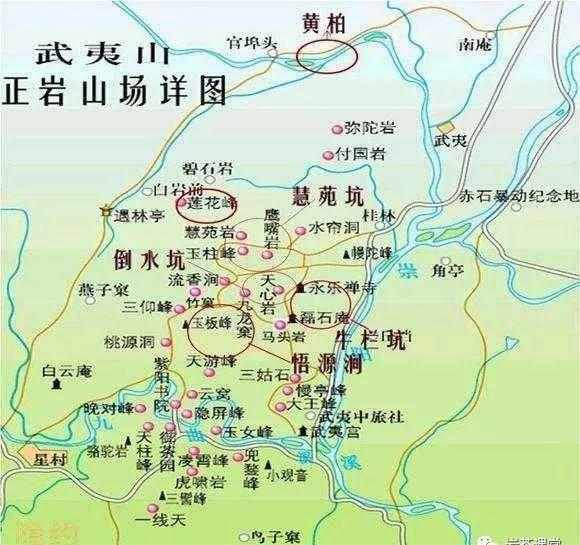 300塊錢的金駿眉能喝嗎，兩三百多金駿眉和一千多區(qū)別