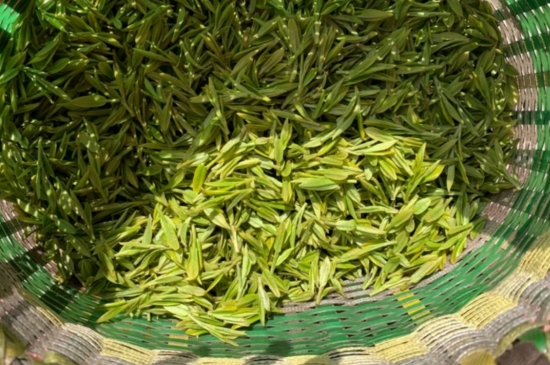 龍井是明前的好還是雨前的好，明前茶和雨前茶哪個好喝？