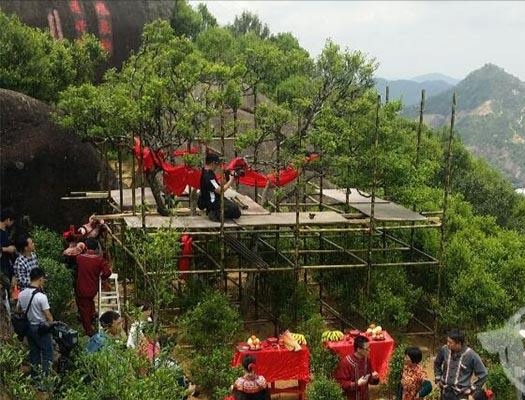 宋種一號(hào)價(jià)值為什么高，鳳凰單樅宋種1號(hào)價(jià)格與產(chǎn)量多少？