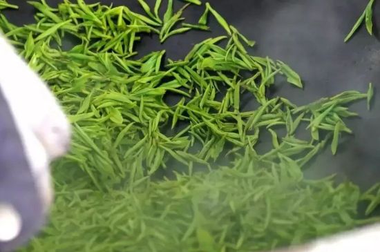 碧螺春為什么泡水渾濁，碧螺春茶葉泡水感覺(jué)很臟是混濁的