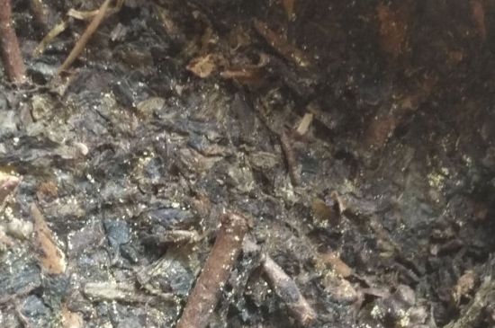 黑茶茯茶保存五大忌，茯茶收藏的注意事項(xiàng)