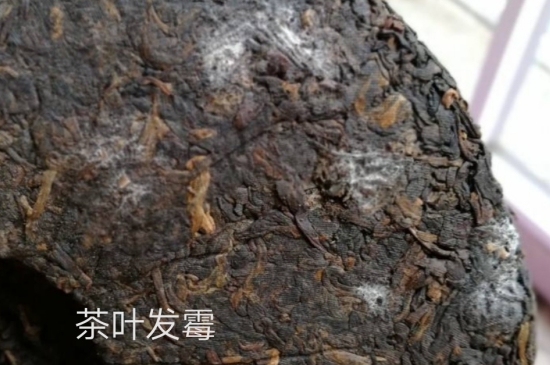 西湖龍井茶毫和發(fā)霉區(qū)別圖片，長(zhǎng)霉的龍井茶葉會(huì)是什么樣？